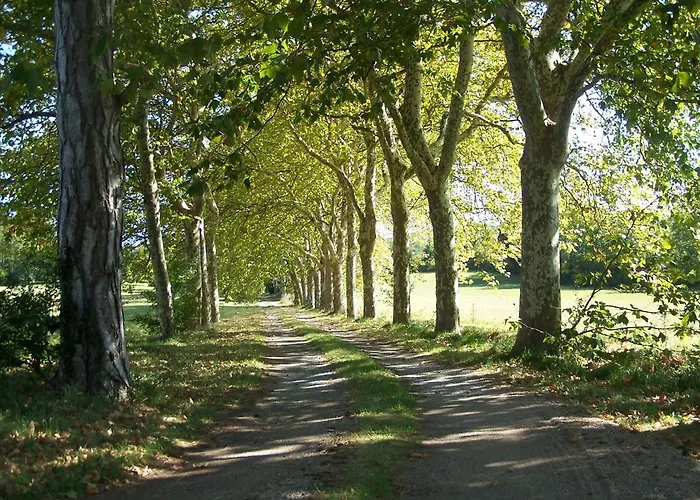 Frühstückspension Domaine De Planques Vaudreuille