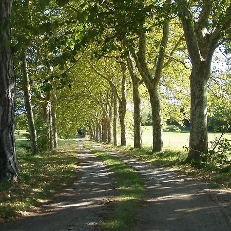 Bed & Breakfast Domaine De Planques Vaudreuille