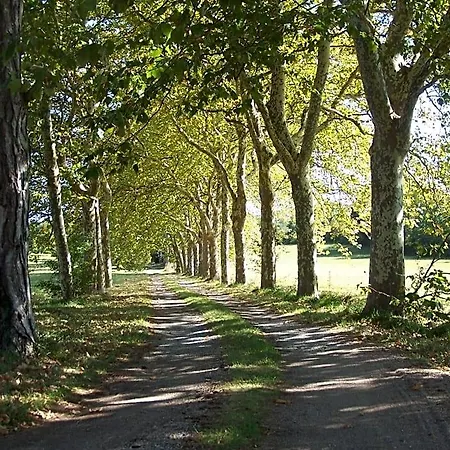 Domaine De Planques B&B